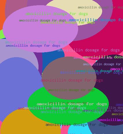 Amoxicillin Dosage For Dogs